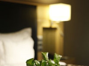 Karácsonyozz Spa Hotelben!