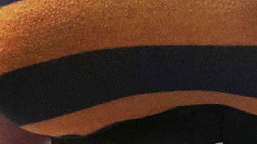 Horror fogyás: terjed a fűződiéta