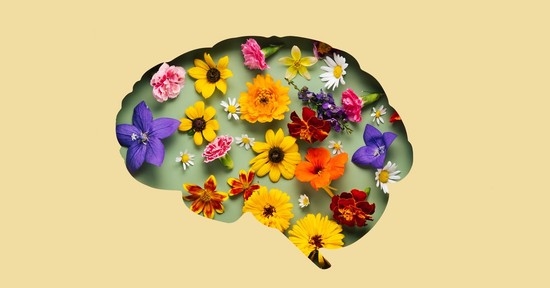 Miért lett akkora luxus a csend az idegrendszer számára, és mit kapnánk napi 5 perctől ebben az állapotban?