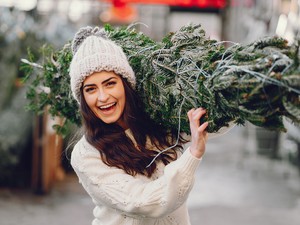 A tökéletes fenyőfa titka - Mégis melyiket érdemes választani?