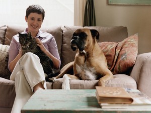 A háziállatok gyógyító ereje