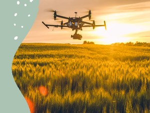 Így lesz az adatokból kézzelfogható társadalmi-gazdasági haszon: éghajlati szolgáltatások