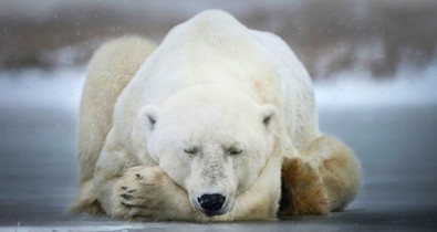 Szeretnél végre JÓL aludni? A kulcs: a melatonin - a dietetikus elmagyarázza, miért!