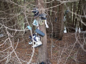 Hátborzongató: cipőkkel teli elhagyatott erdőre bukkant egy fotós!