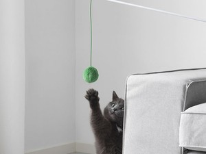 Az IKEA már háziállatoknak is készít bűtorokat! Nagyon cuki!