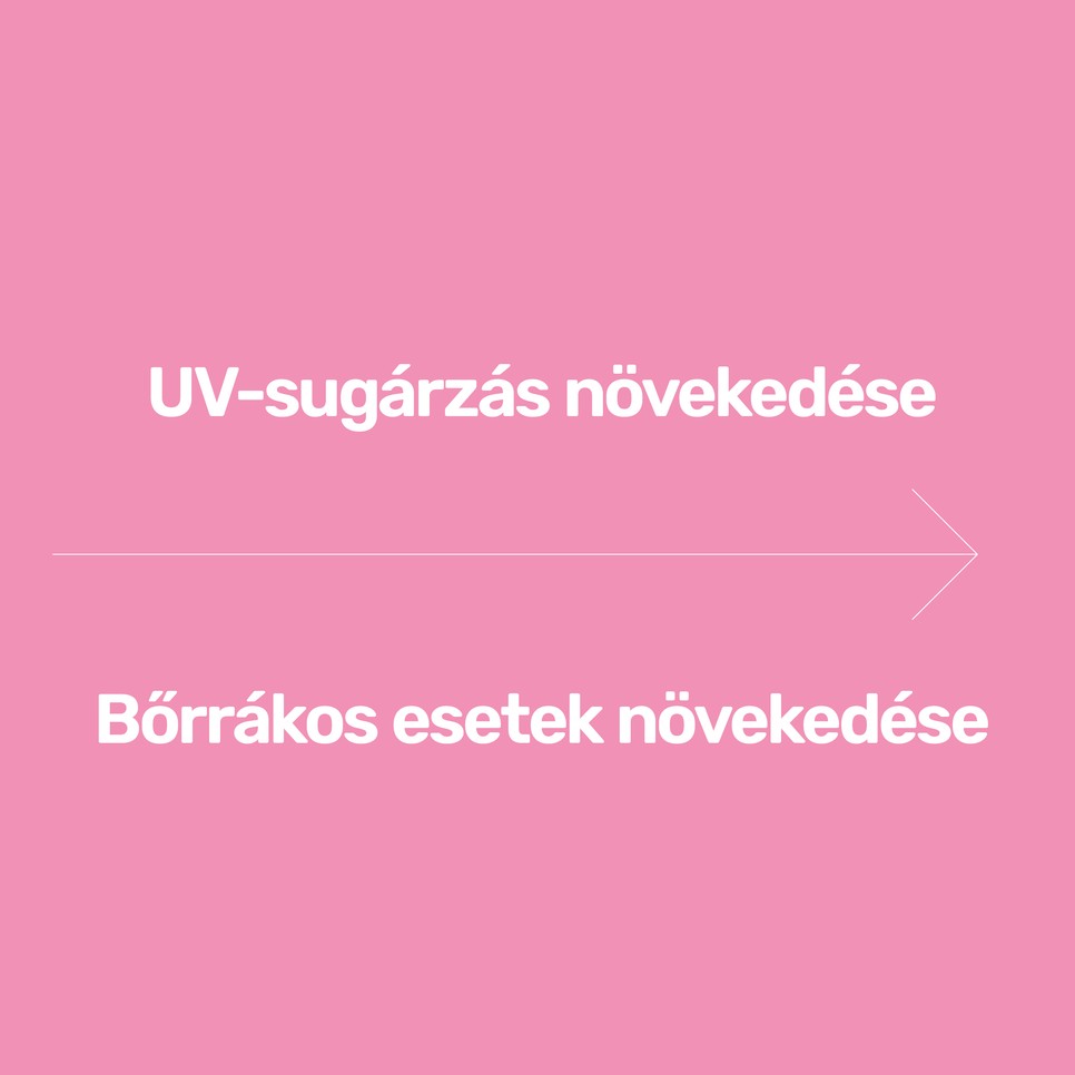 Illusztráció: Lamm Lenke