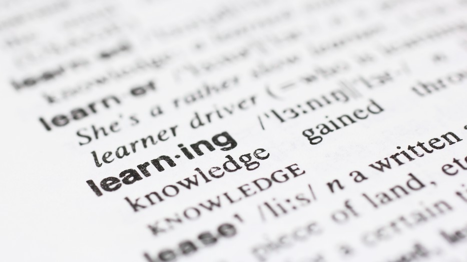 Tudtad, hogy a nyelvtanulás nem csak hasznos, hanem jó hatással van az agyadra is?