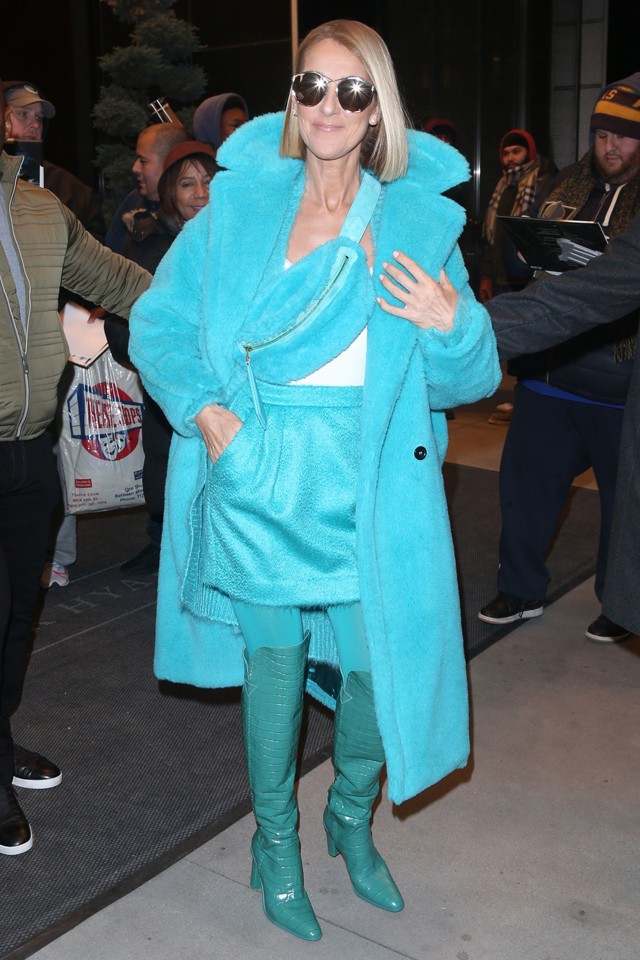 Celine Dion Max Mara