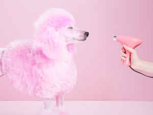 Ezt a hibát mindannyian elkövetjük hajszárítás során pedig nagyon nem kellene 