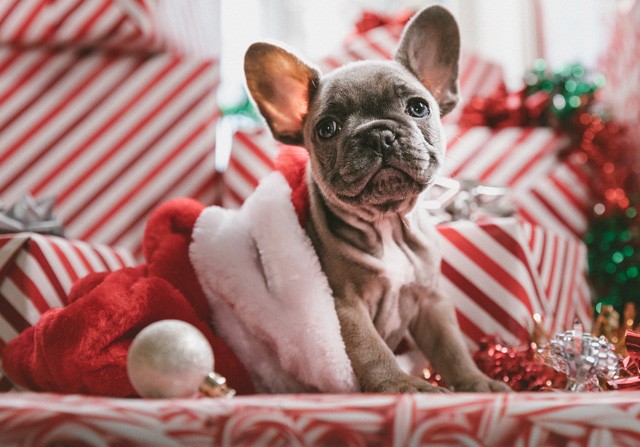 Ezt szeretik a karácsonyban a legjobban a csillagjegyek szülöttei