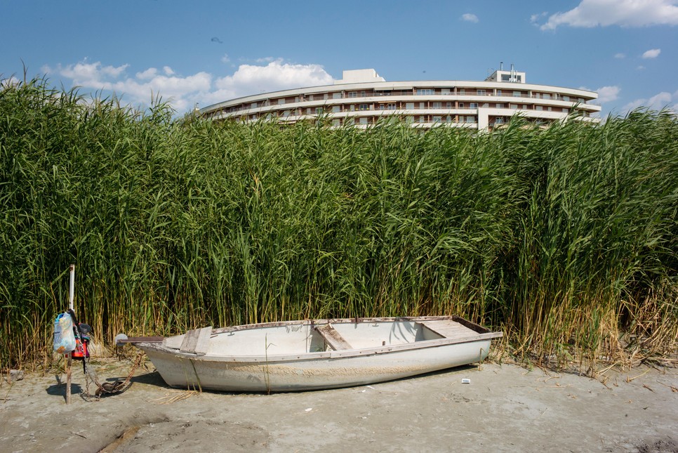 A Balaton természetes védekezésében különösen fontos szerepet töltenek be a nádasok