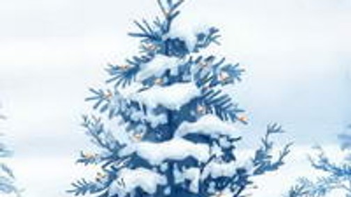 Karácsonyi üzenet Rékától!