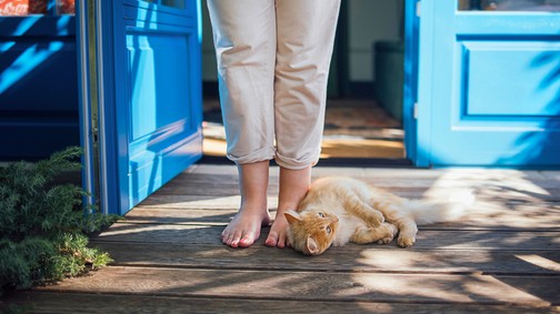 Megnyitja a bőség kapuját: ezt a filléres dolgot tedd az ablakba vagy az ajtó közelébe, és elönti a szerencse a házat