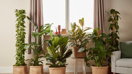 9 hétköznapi tárgy, ami titokban balszerencsét hozhat