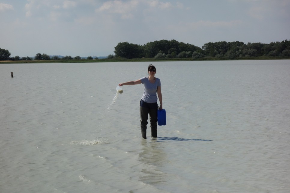 Horváth Zsófia szerint fontos lenne, hogy minél több kisméretű tó létesüljön Magyarországon