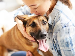 “Nincs annál rosszabb döntés, mint amikor valaki csak küllem alapján választ négylábút maga mellé” - Segítsd a kutyamentést!