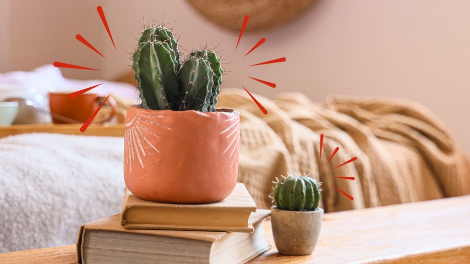 Bizonyos tárgyak tiltólistásak a feng shui szerint: ezeket soha ne tedd a hálószobába