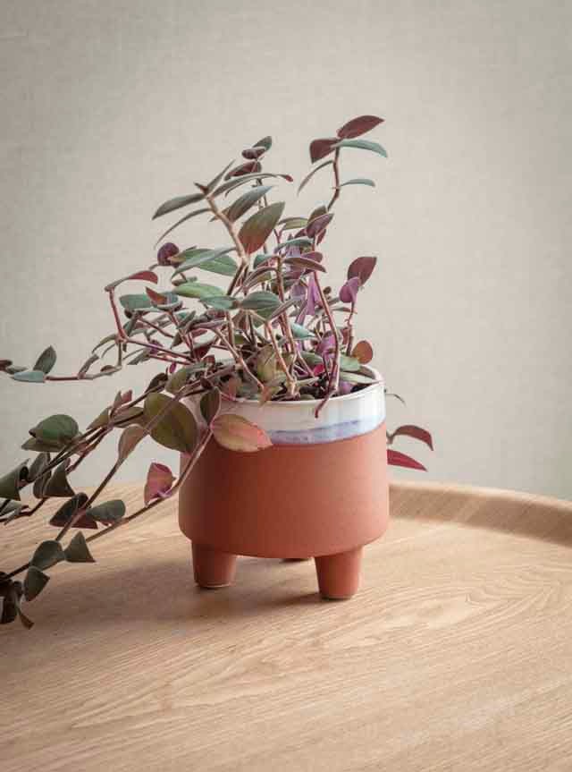 Garden Trading kerámia kaspó 8 font