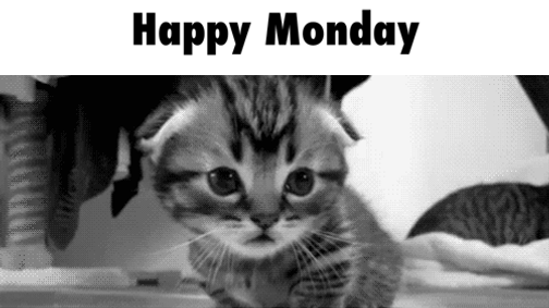 Ez most egy jobb hétfő lesz! - Egymondatos horoszkóp - október 10. hétfő