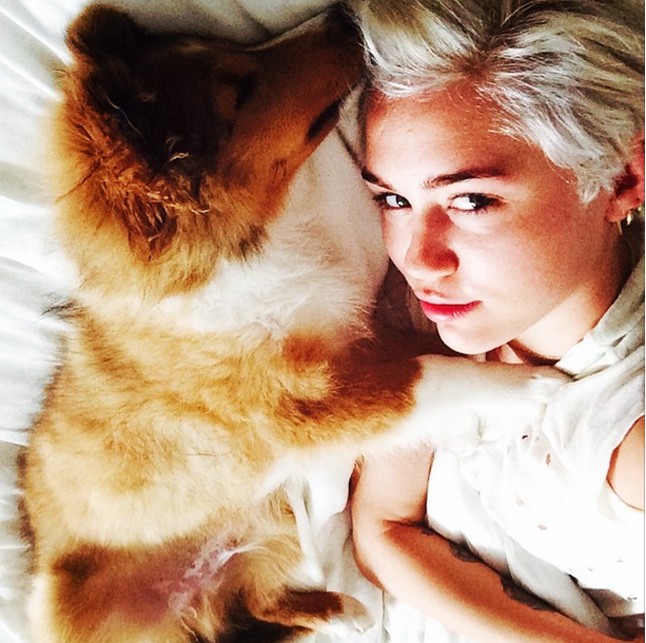 Miley sokáig egy mini husky tulajdonosa volt. Miután a kutyus meghalt, Miley örökbe fogadta Emut. Az énekesnő nem bízta a véletlenre a dolgokat. Emu hírnevéről azonnal gondoskodott és több kollázst is megosztott az interneten a kis ebről. Sőt a rajongók örömére még egy olyan képet is nyilvánosságra hozott, ahol együtt zuhanyoznak. 