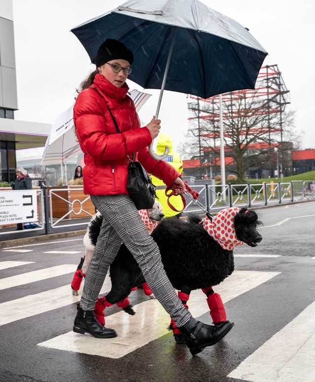 Ha azt gondoltad, kutya divat nem létezik, tévedtél
