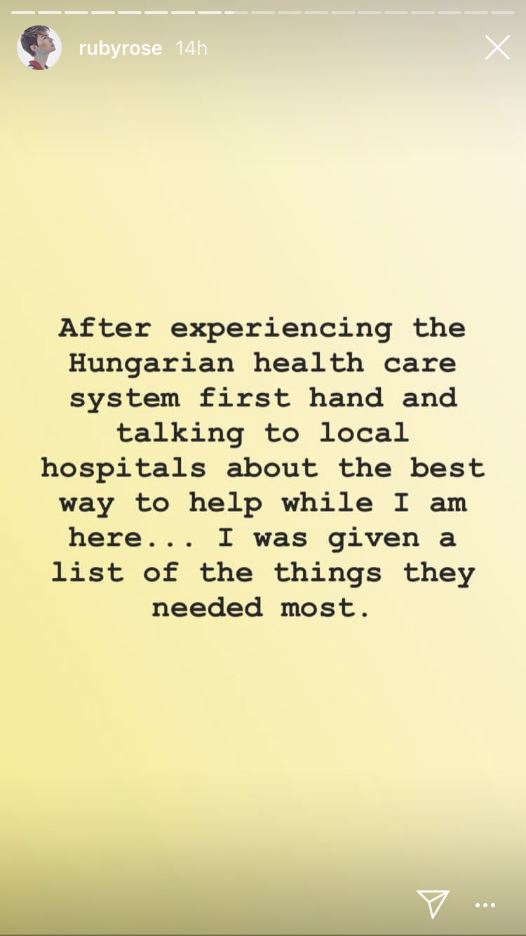 A hollywoodi színésznőnek elege lett, saját maga vásárolt be a magyar kórháznak