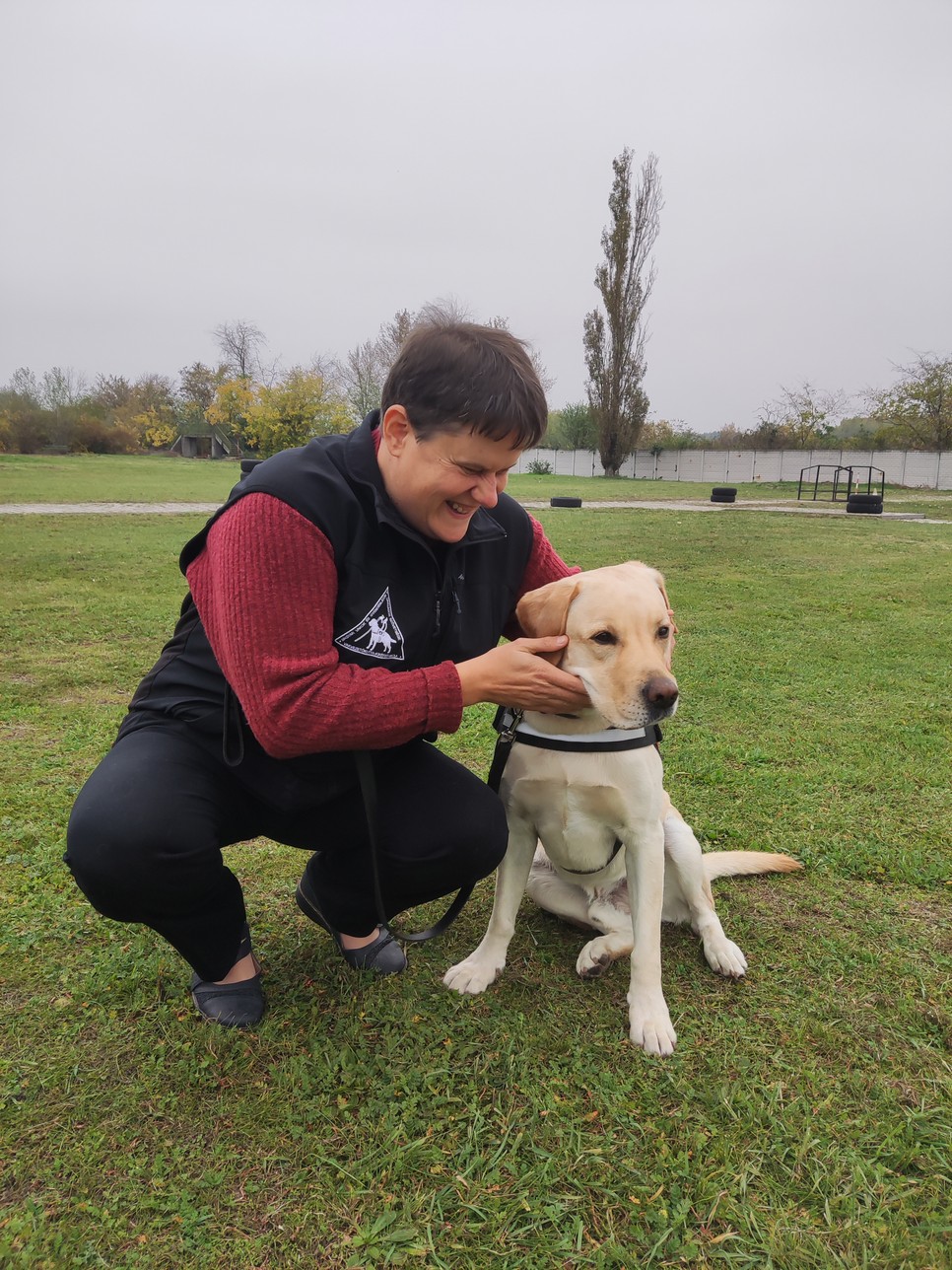 A labrador a legnépszerűbb vakvezetőkutya