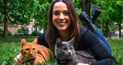 A macskák szerepe a mentális egészség megőrzésében