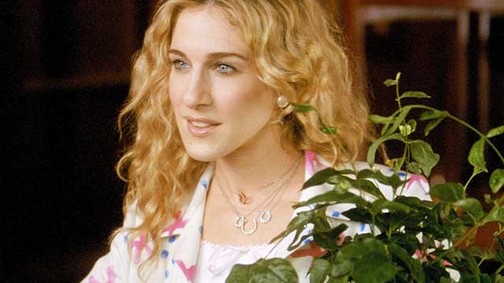 3+1 tipp, hogy a szobanövényeid ne pusztuljanak el