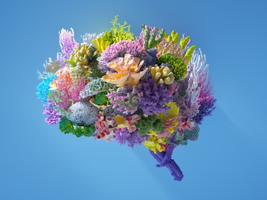 Ezzel a módszerrel végre olyan ötleteid lehetnek, melyek megváltoztatják a karrieredet