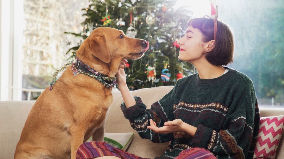  A legszebb karácsonyi reklámoktól neked is összeszorul a szíved