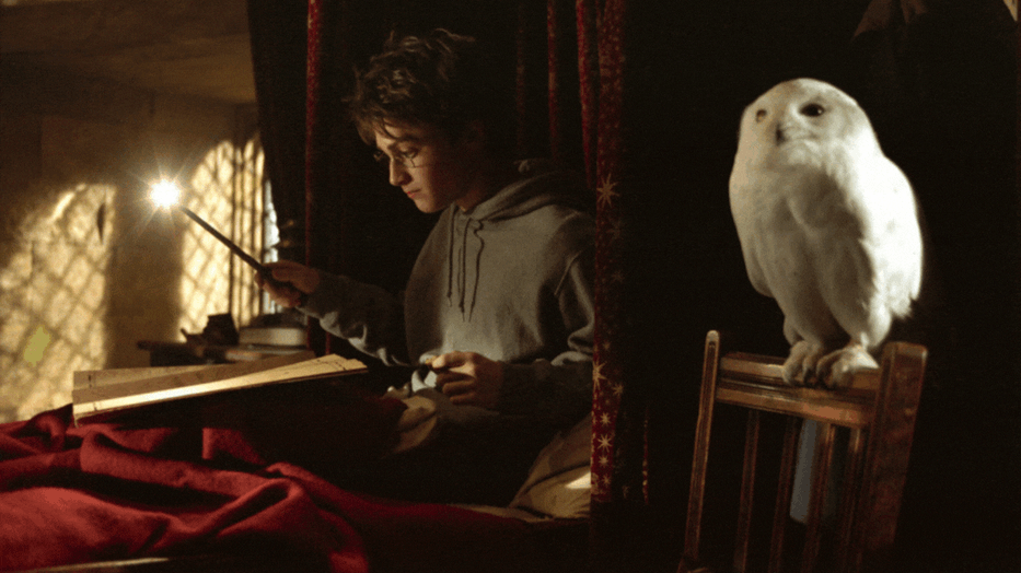 A Harry Potter nem egyszerűen meghatározó olvasmány, és ezt be is bizonyítjuk