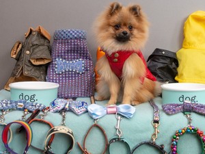 Már kiskedvenceink is viselhetnek dizájner ruhákat, de vajon ki költ el rájuk 200-300 ezer forintot?