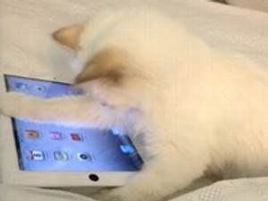 Karl Lagerfeld újra szerelmes