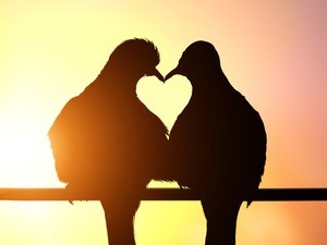 5 tipp, hogy újra fellángoljon a szerelem köztetek