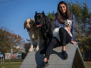 Sikkesen állt fontos ügy mellé Boggie