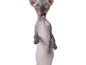 A maszturbálás tényleg hajhullást okoz?