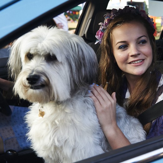 5 kutyabarát kávézó és reggeliző Budapesten