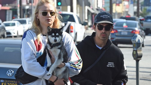 Esküvő után gyász: Joe Jonas és Sophie Turner elveszítették a kedvencüket