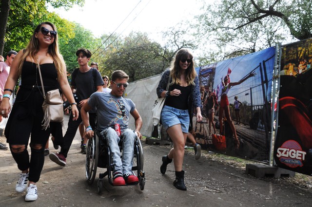 Fenyvesi Zoltán Sziget