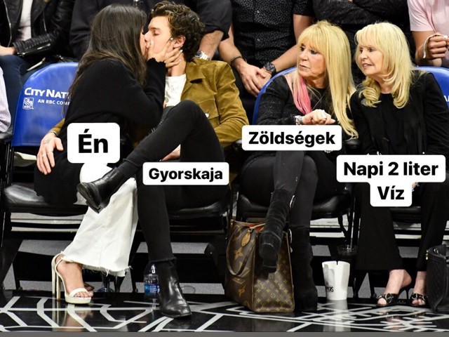 Zseniális mémet csinált egy színész Camila Cabello és Shawn Mendes csókolózós képéből