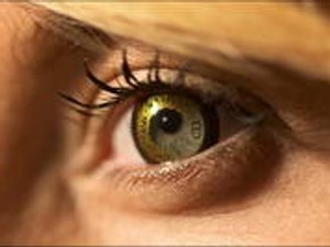 Drága szemed fénye