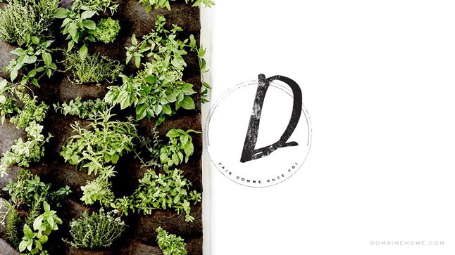 Elviszünk Jessica Albáékhoz