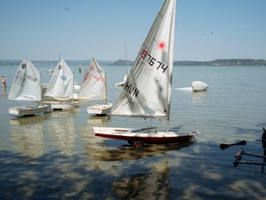 A Balaton nem haldoklik, hanem alkalmazkodni próbál