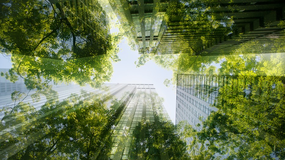 Így lehet zöldebb az otthonod