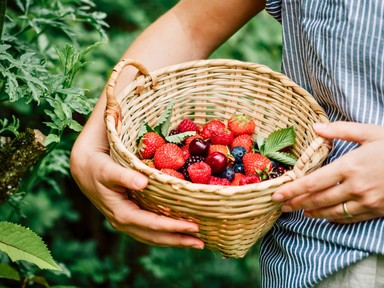 4 étel, ami gyakorlatilag megállítja a test öregedését: évekkel kitolhatod az élettartamodat, ha naponta eszel belőlük