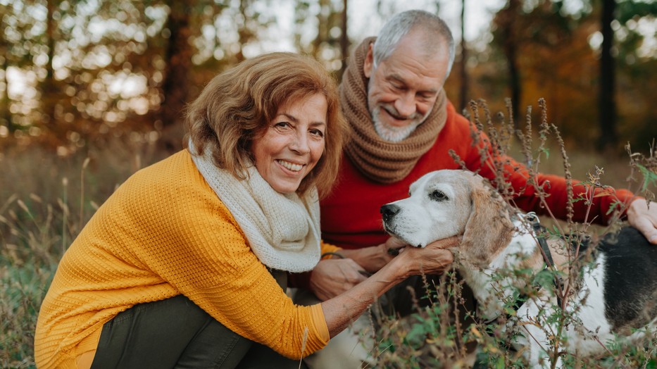 Ez a teszt segíthet megállapítani az Alzheimer-kórt