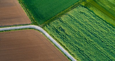 Top 5 természetfilm a Netflixen Föld napjára