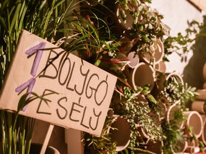 A fenntarthatóság jegyében telt a GLAMOUR Book parti - Nézd meg a videót!