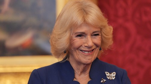 Kamilla királyné merész színválasztása szinte már arcpirító, mégis gyönyörűen festett benne